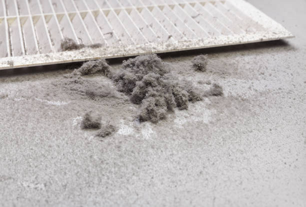 Best Home Air Vent Cleaning  in Avondale, PA