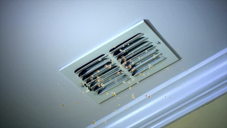 Best HVAC Duct Inspection Services  in Avondale, PA