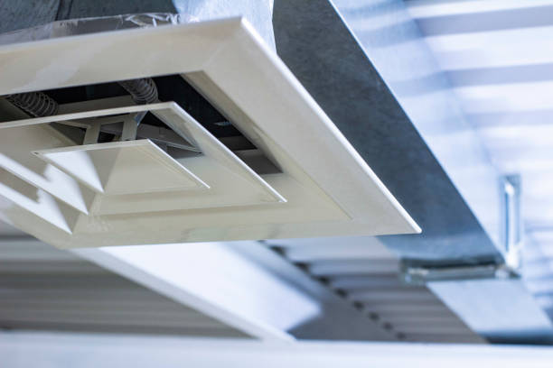 Best Air Duct Mold Removal  in Avondale, PA