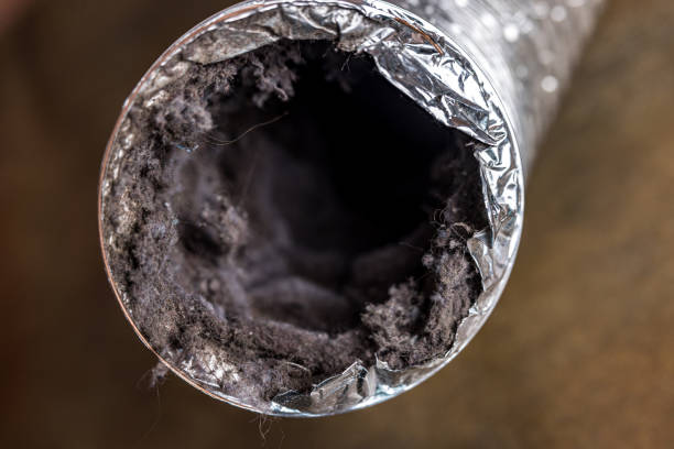 Best Affordable HVAC Duct Cleaning  in Avondale, PA